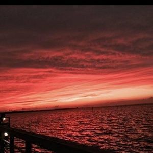 Meet your Posher, Ricky